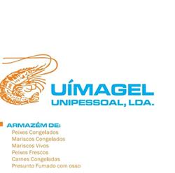 Uimagel