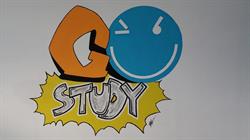 Go Study