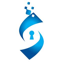 DigitalSkills Consulting