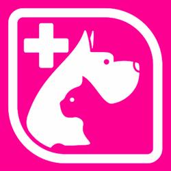 Amipet - Veterinário, Hotel & ATL, Formação e Treino