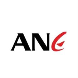 Associação Nacional das Empresárias
