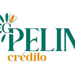 Pelin Crédito
