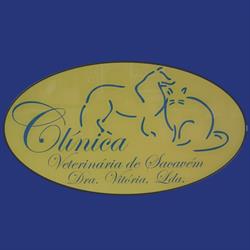Clínica Veterinária de Sacavém Dr.ª Vitória, Lda