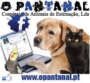 O Pantanal-Comércio de Animais De Estimação, Lda