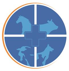 Clínica Veterinária Laranjeiras