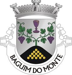 Junta de Freguesia de Baguim do Monte