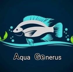 Aqua Generus