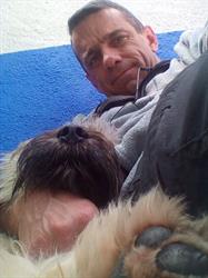Vipdog, Lda