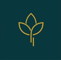 COZY THAI - Massage Therapy