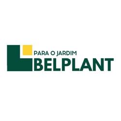 Belplant