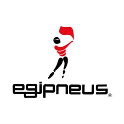 Egipneus - Comércio de Pneus e Acessórios Auto, Lda