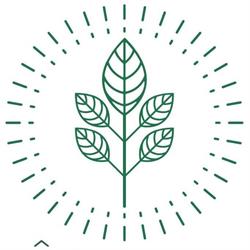 Inês Ruivo - Nutrição Funcional