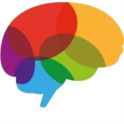 NeuroSentidos - Centro de Desenvolvimento e Reabilitação