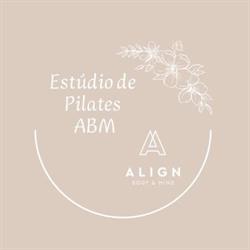 ESTÚDIO DE PILATES ABM 1 - PILATES CLÍNICO (VALE FLORES)