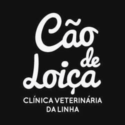 Cão de Loiça - Clínica Veterinária da Linha