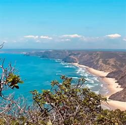 The Algarve Traveller