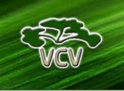 Viveiros Cava Viriato-Comércio De Plantas Lda