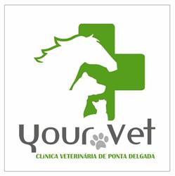 Your Vet - Clínica Veterinária de Ponta Delgada