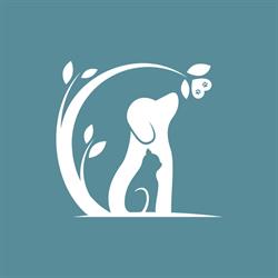 DreamPet - Loja para Animais de Estimação