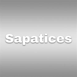 Sapatices
