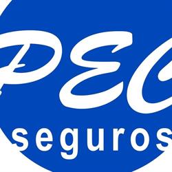 Pecseguros - Paulo & Elsa Casacão Agentes de Seguros