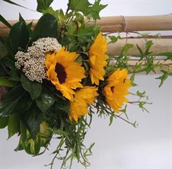 Florista Pétala