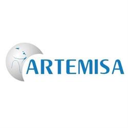 Artemisa Woman Store