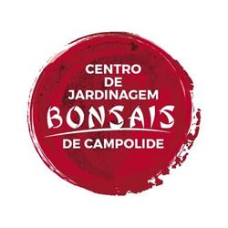 Bonsais de Campolide