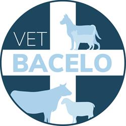 VetBacelo