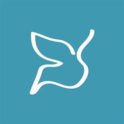 Be Wise Consultant