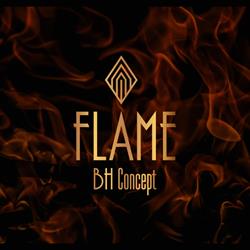FLAME BH Concept