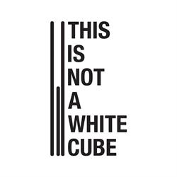 This Is Not a White Cube