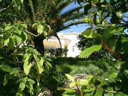 Algarve-Villas