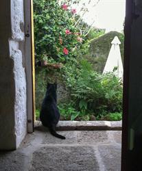 Quinta do Espírito Santo