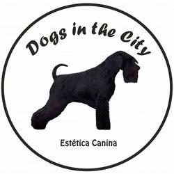 Dogs in the City