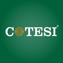 Cotesi