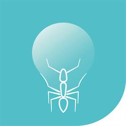 Kerigma - Instituto de Inovação e Desenvolvimento Social