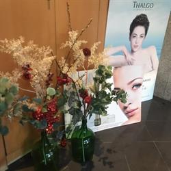 IMAGE SPA