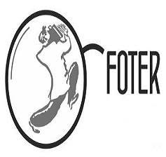 Foter