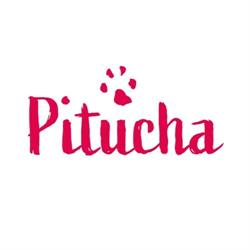 Pitucha