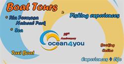 Ocean4You Tours Office - Boat Tours & Fishing Experiences