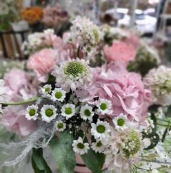 Florista Trevo