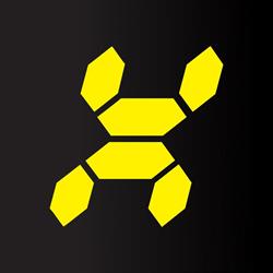 RAIO X - Segurança e Automação,Lda.