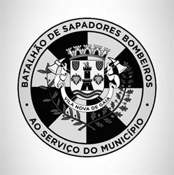 Batalhão de Sapadores Bombeiros e Proteção Civil de V. N. Gaia