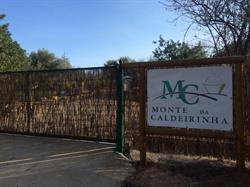 Monte da Caldeirinha, Lda