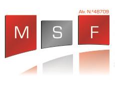 MSF - Manuel Silva & Filho - Soc. Construçoes, Lda
