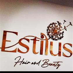 Estilu's