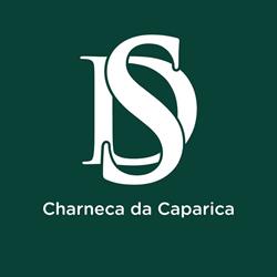 Decisões e Soluções - Charneca de Caparica