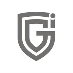 Grupo Invictus by MaisConsultores