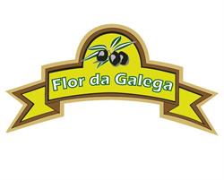 Flor da Galega